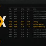 Hackers Exploit Plex2Shell Flaws to Install Crypto Miners and Linux Proxy Backdoor