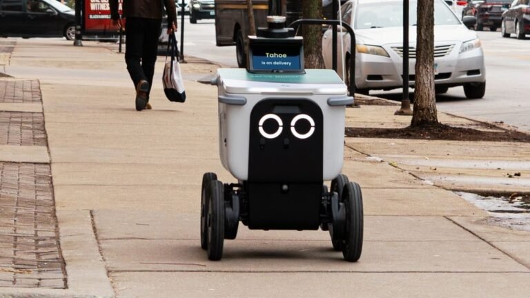 Delivery bots accused of illegally scanning customers