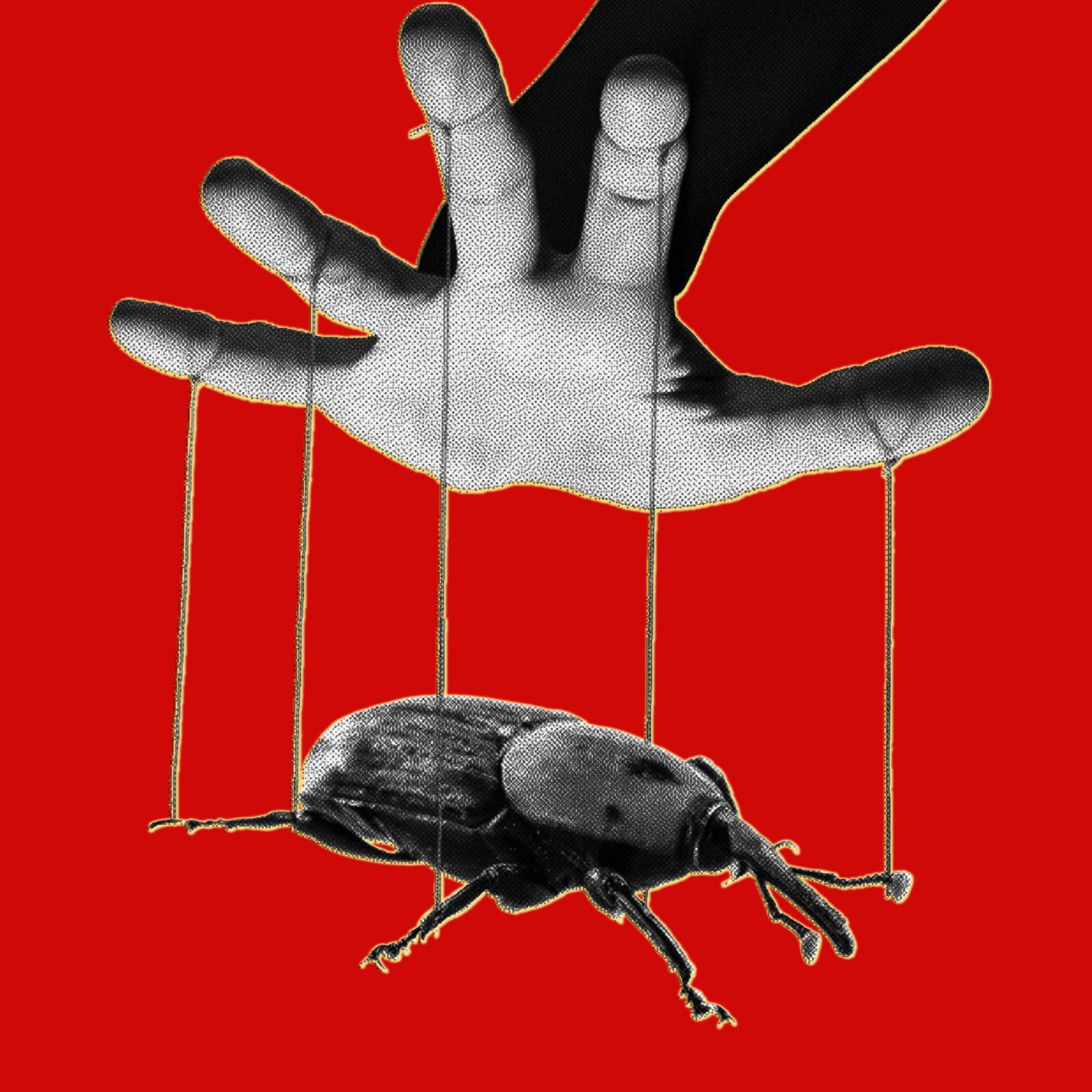 the-php-meltdown-shows-how-ai-makes-bugs-more-exploitable