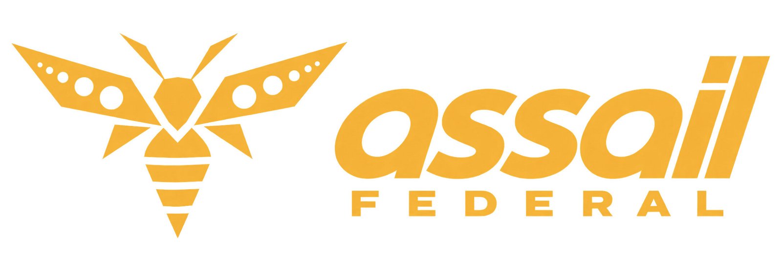 assail-launches-assail-federal-to-deliver-autonomous-offensive-cyber-to-government