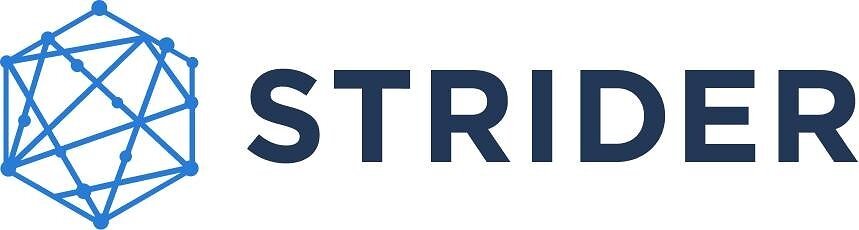 strider-names-vassili-patrikis-chief-technology-&-ai-officer