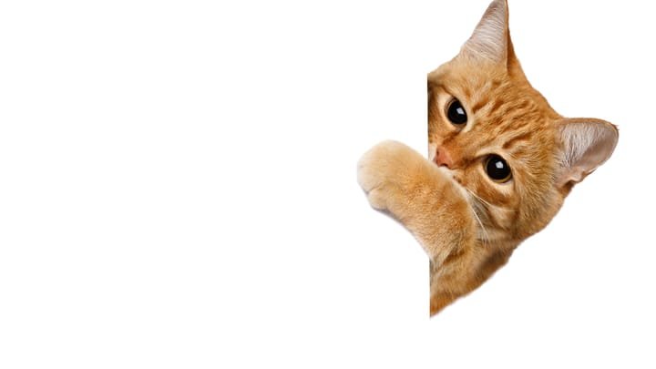 Anthropic ‘SneakPeek’ Flaw Is a Silent Zero-Click Threat